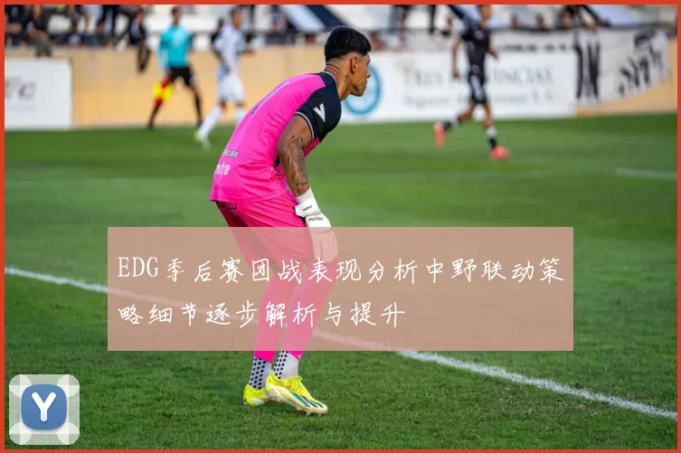 EDG季后赛团战表现分析中野联动策略细节逐步解析与提升
